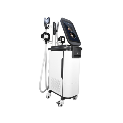 2 in 1 Lichaam die van EMS Cryo Machine  4 beeldhouwen de Spiermachine van Handvattenestimulador