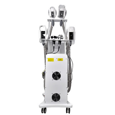 Van de Vorstcryolipolysis van  Vette OEM van de het Vermageringsdieetmachine 800W