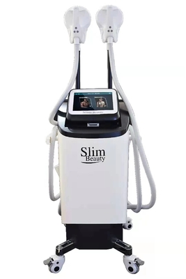 13 het Lichaam dat van Teslasculpt EMS de Stimulator  beeldhouwt van de Machinespier