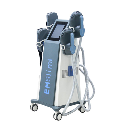De neostimulator van de het Handvatems Spier van Rf Twee, -Machine