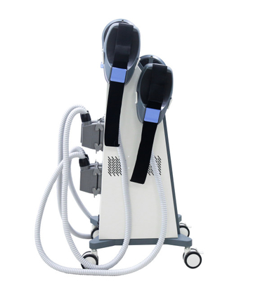De neostimulator van de het Handvatems Spier van Rf Twee, -Machine