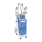 360 Cryolipolysis Vermageringsdieetmachine 4 Handvat 10 van de Vette Verlies Vacuümgraden Massage