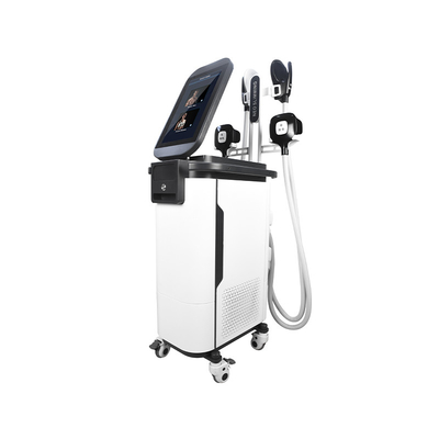 2 in 1 Lichaam die van EMS Cryo Machine  4 beeldhouwen de Spiermachine van Handvattenestimulador