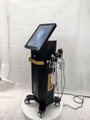 Verticale EMRF gezichtshuidverstrengelingsmachine 4MHz frequentie