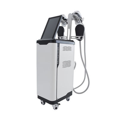 Salon Gebruik Cryolipolyse  NEO Sculpting Slimming Machine Verticaal