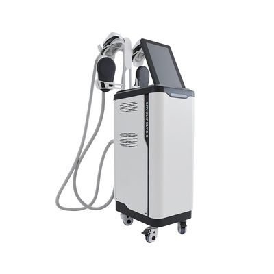 Salon Gebruik Cryolipolyse  NEO Sculpting Slimming Machine Verticaal