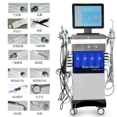 14 in 1 Hydrofaciale dermabrasie grote bubbel zuurstofspray gezichts led huidverjonging machine
