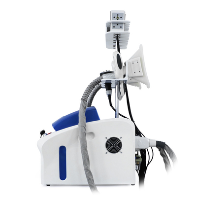 Professionele cryolipolyse Vetverwijdering Cryo Cellulitis Reductie Vet Bevriezing Machine Body Slimming Machine