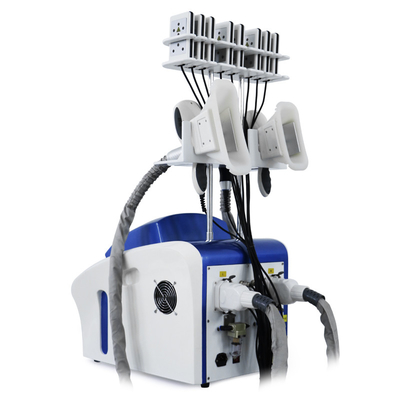 Professionele cryolipolyse Vetverwijdering Cryo Cellulitis Reductie Vet Bevriezing Machine Body Slimming Machine