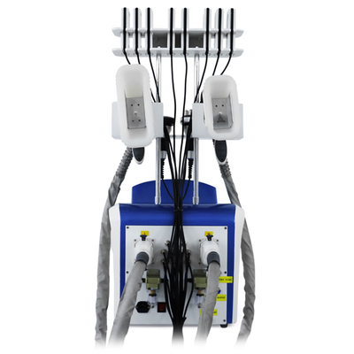 Professionele cryolipolyse Vetverwijdering Cryo Cellulitis Reductie Vet Bevriezing Machine Body Slimming Machine