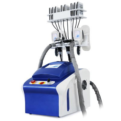 Professionele cryolipolyse Vetverwijdering Cryo Cellulitis Reductie Vet Bevriezing Machine Body Slimming Machine