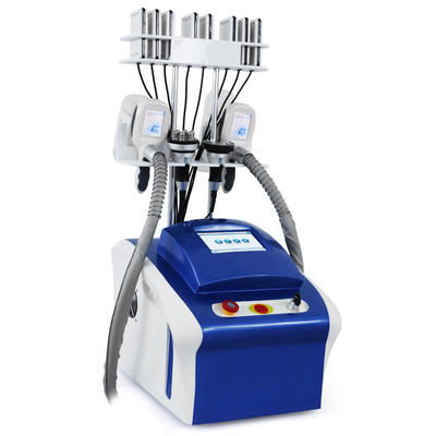 Professionele cryolipolyse Vetverwijdering Cryo Cellulitis Reductie Vet Bevriezing Machine Body Slimming Machine