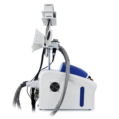 Professionele cryolipolyse Vetverwijdering Cryo Cellulitis Reductie Vet Bevriezing Machine Body Slimming Machine