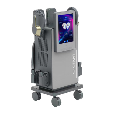 EMS Body Shaping Machine met RF EMS 4 handgrepen met kussen