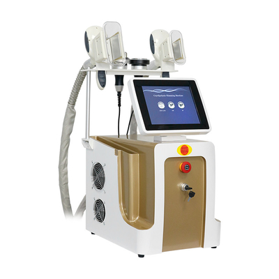 Cryolipolyse-vetvriezer voor gewichtsverlies