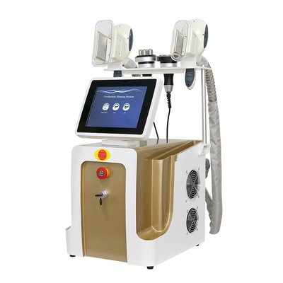 Cryolipolyse-vetvriezer voor gewichtsverlies