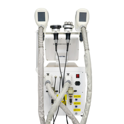 Cryolipolyse-vetvriezer voor gewichtsverlies