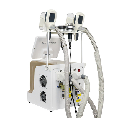 Cryolipolyse-vetvriezer voor gewichtsverlies