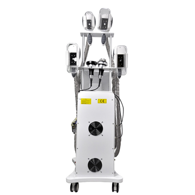 360 cryolipolyse machine voor vetvriezing machine voor snel afslanken