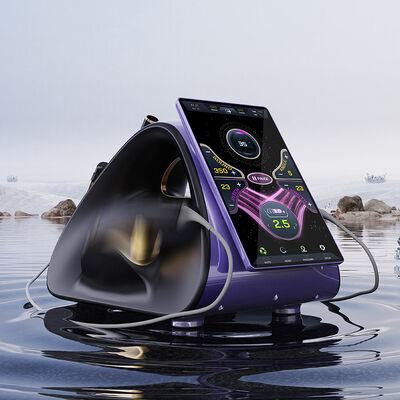 HIFU12D MAX PLUS Hoogfrequente Gefocuste Ultrageluid Multi-Frequentie Cryo-Bescherming Anti-aging Gezichtslift & Versteviging Lichaamsvorming & Vetverwijdering Schoonheidsapparaat