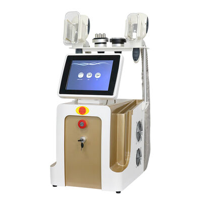 3 in1 niet-invasief pijnloos draagbaar touchscreen met vier handgrepen Thuis en commercieel gebruik Cryo Freezing Beauty Machine Afslankende schoonheidsmachine