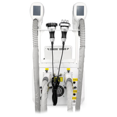 4 in 1 niet-invasief pijnloos draagbaar 4 handvaten voor thuis en commercieel gebruik Cryo Freezing Beauty Machine Slimming Beauty Machine
