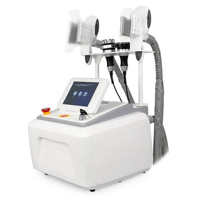 4 in 1 niet-invasief pijnloos draagbaar 4 handvaten voor thuis en commercieel gebruik Cryo Freezing Beauty Machine Slimming Beauty Machine