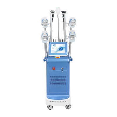 360 omringende Cryolipolysis vetbevriezingsmachine Niet-invasieve lichaamscontouren Criolipolisis Afslankapparatuur voor kliniek Salon Vetreductie Cellulitisverwijdering